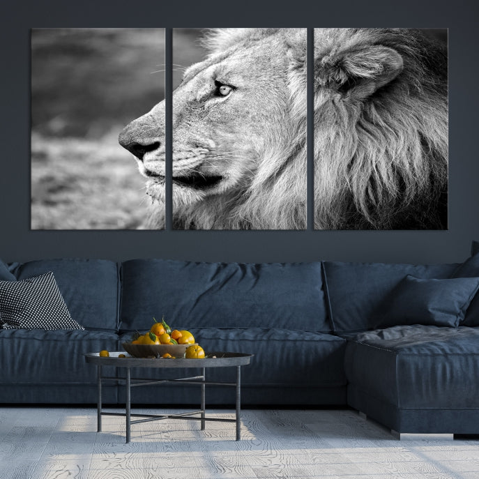 African Lion Poster Print on Canvas Extra Large Wall Art Ready to Hang