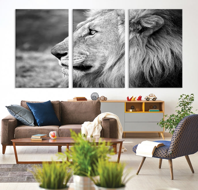 African Lion Poster Print on Canvas Extra Large Wall Art Ready to Hang