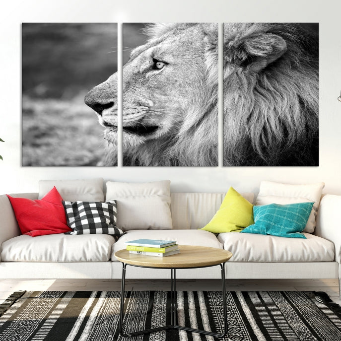 African Lion Poster Print on Canvas Extra Large Wall Art Ready to Hang