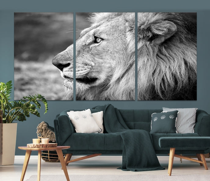 African Lion Poster Print on Canvas Extra Large Wall Art Ready to Hang