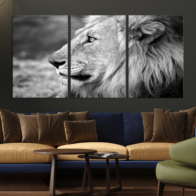 African Lion Poster Print on Canvas Extra Large Wall Art Ready to Hang