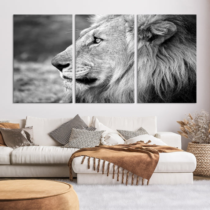 African Lion Poster Print on Canvas Extra Large Wall Art Ready to Hang