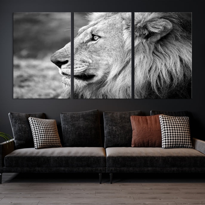 African Lion Poster Print on Canvas Extra Large Wall Art Ready to Hang