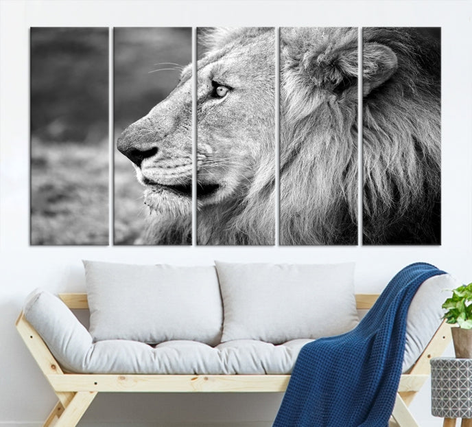 African Lion Poster Print on Canvas Extra Large Wall Art Ready to Hang