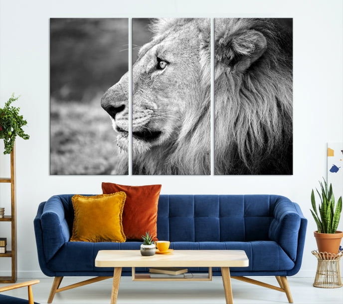 African Lion Poster Print on Canvas Extra Large Wall Art Ready to Hang