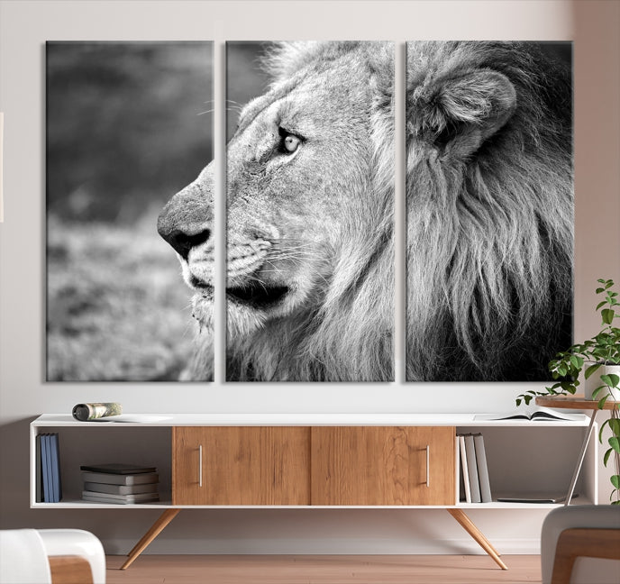 African Lion Poster Print on Canvas Extra Large Wall Art Ready to Hang