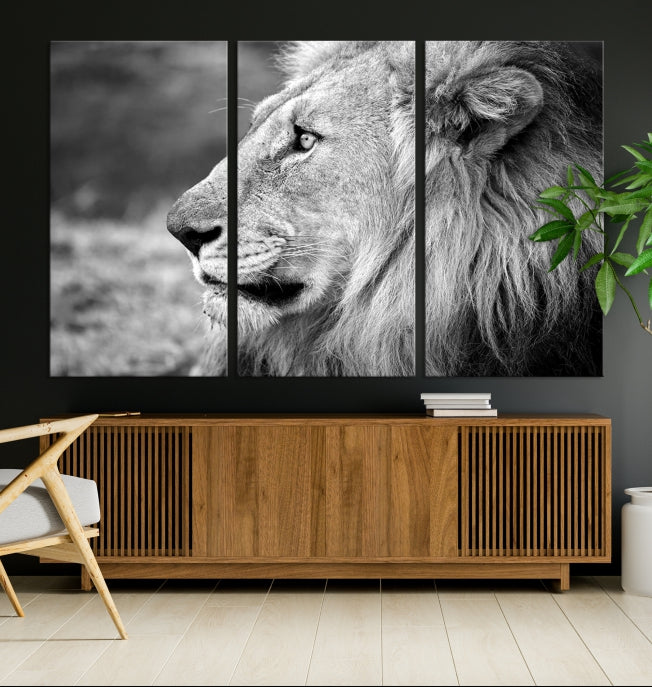 African Lion Poster Print on Canvas Extra Large Wall Art Ready to Hang