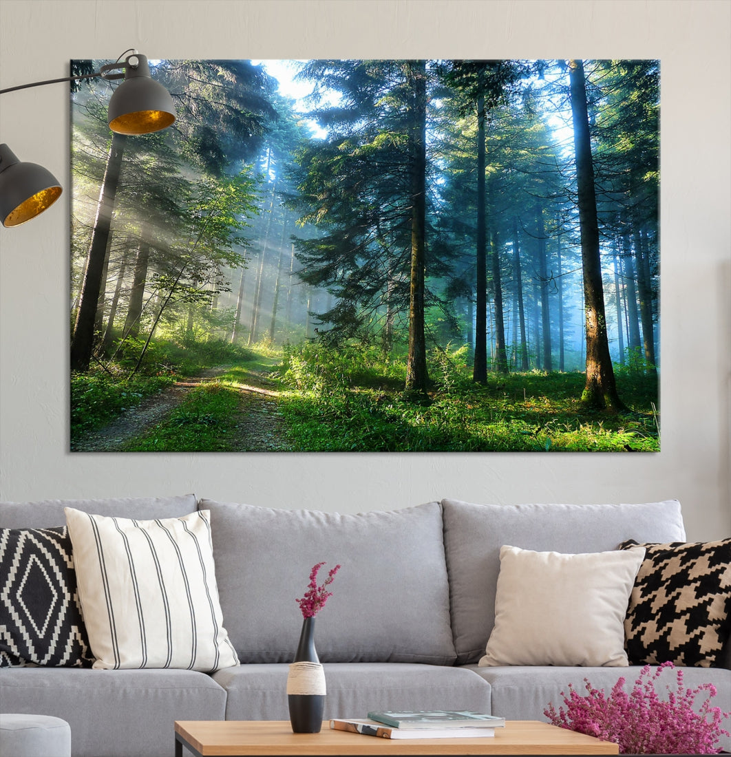 Alluring Sunshine in Forest Large Wall Art Canvas Print