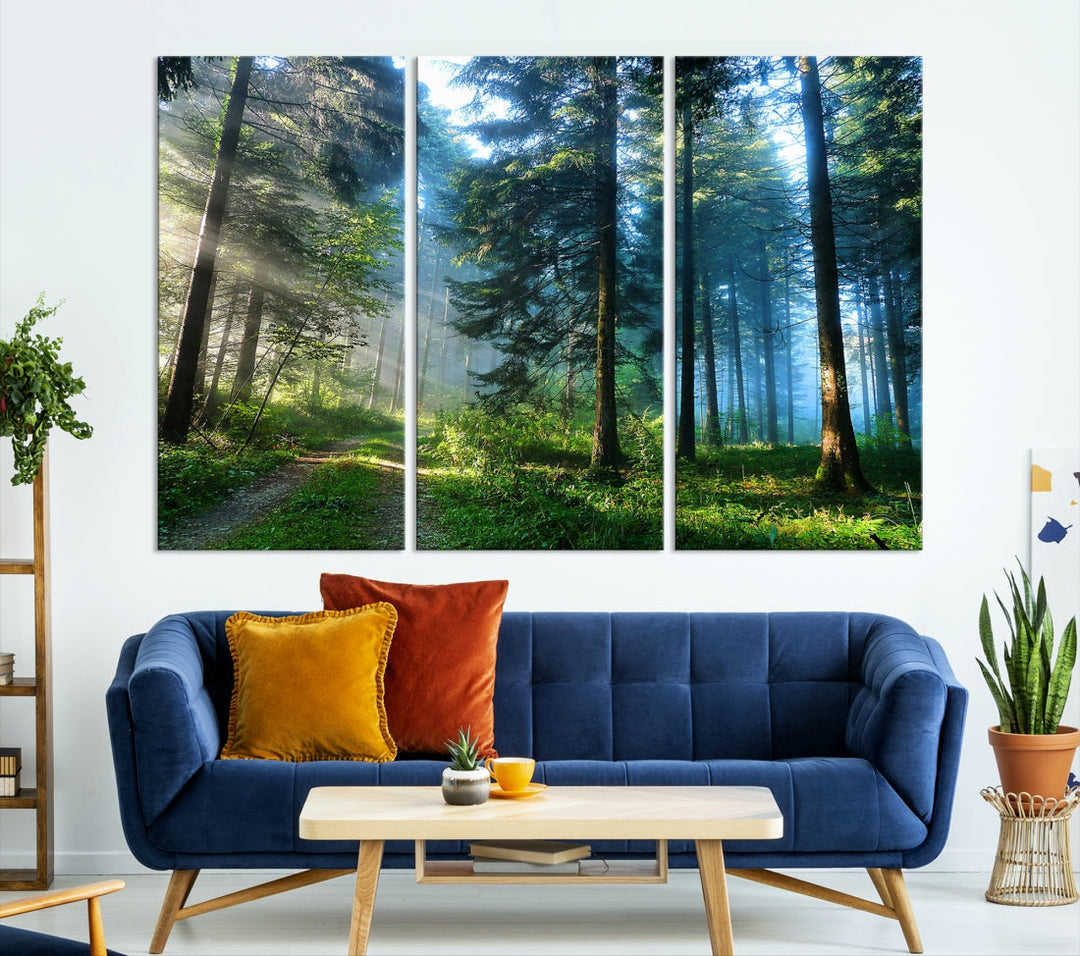 Alluring Sunshine in Forest Large Wall Art Canvas Print