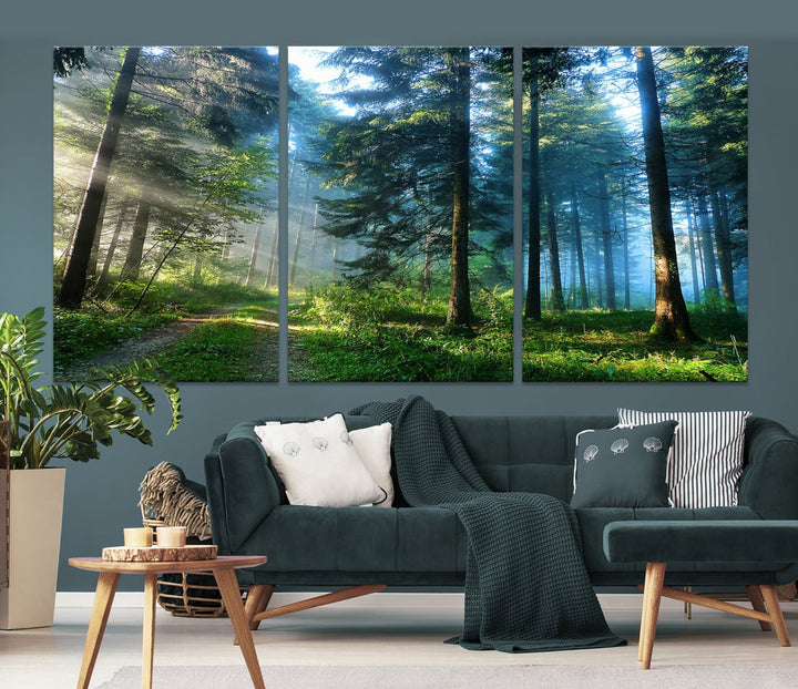 Alluring Sunshine in Forest Large Wall Art Canvas Print