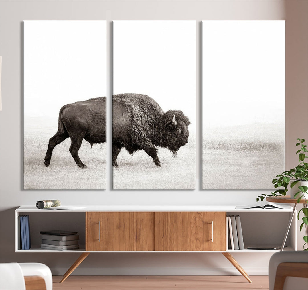 Alone Bison Wall Art Canvas Print, Cow Wall Art, Buffalo Artwork