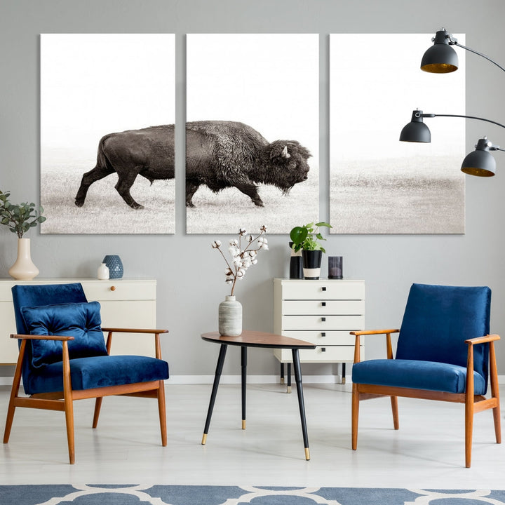 Alone Bison Wall Art Canvas Print, Cow Wall Art, Buffalo Artwork