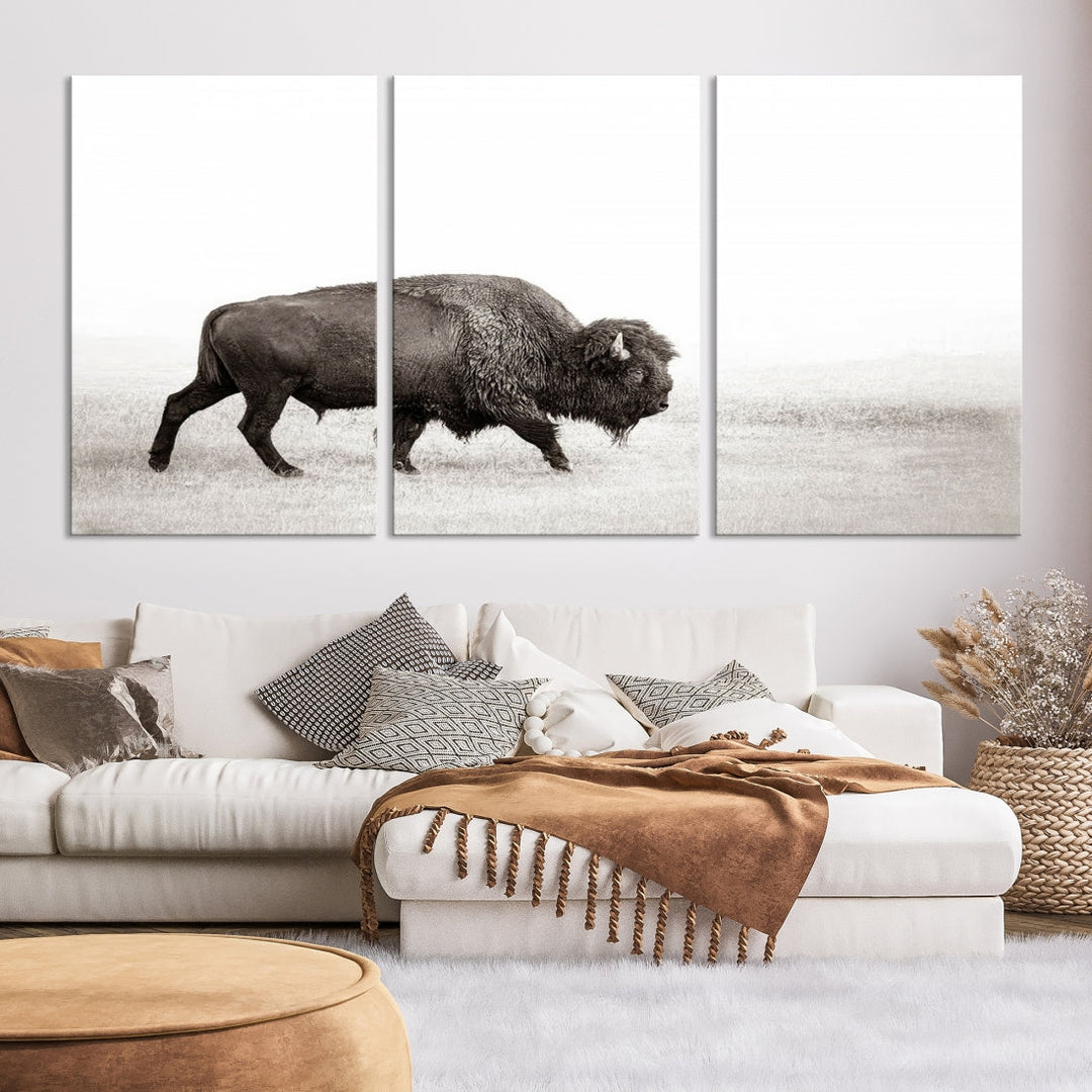 Alone Bison Wall Art Canvas Print, Cow Wall Art, Buffalo Artwork