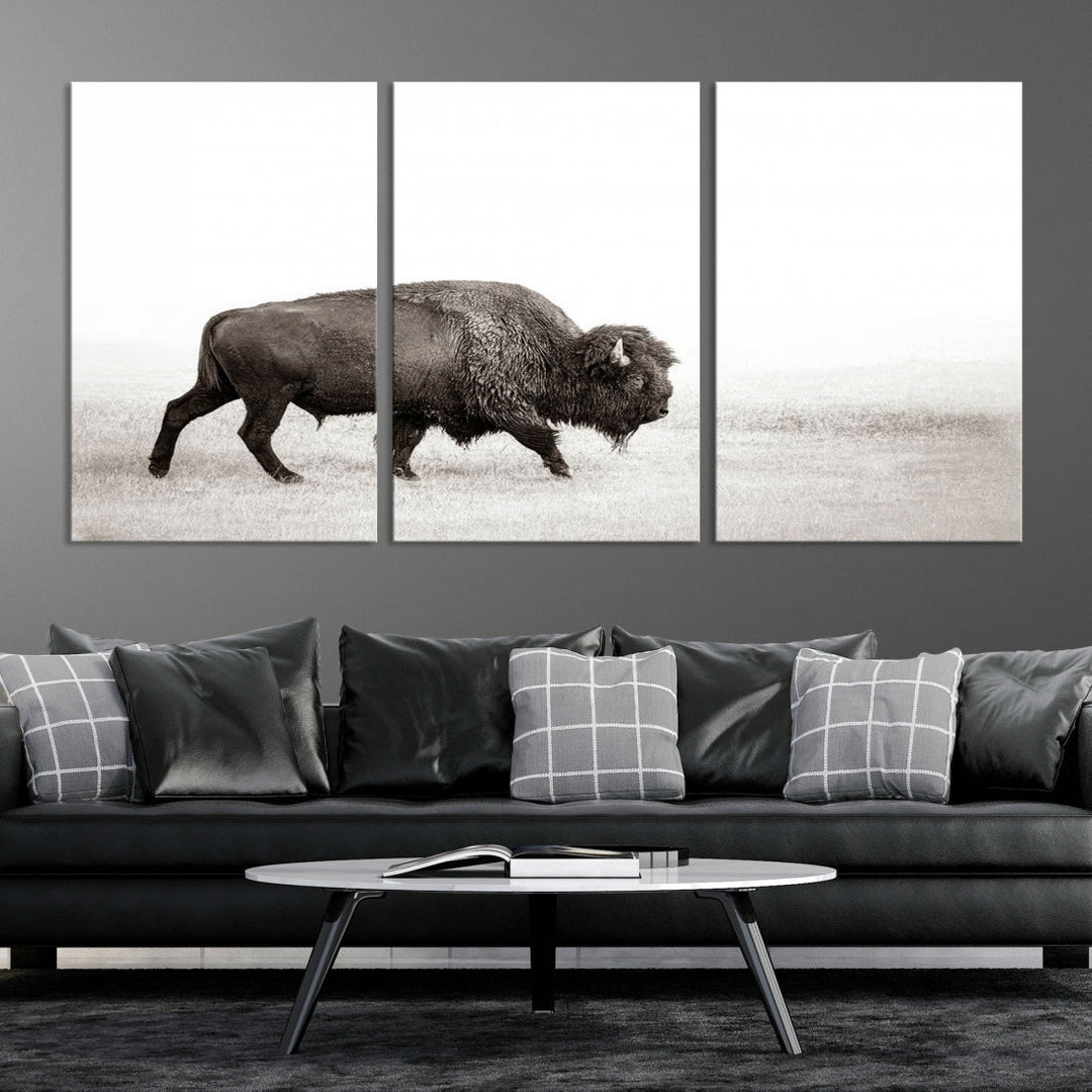 Alone Bison Wall Art Canvas Print, Cow Wall Art, Buffalo Artwork