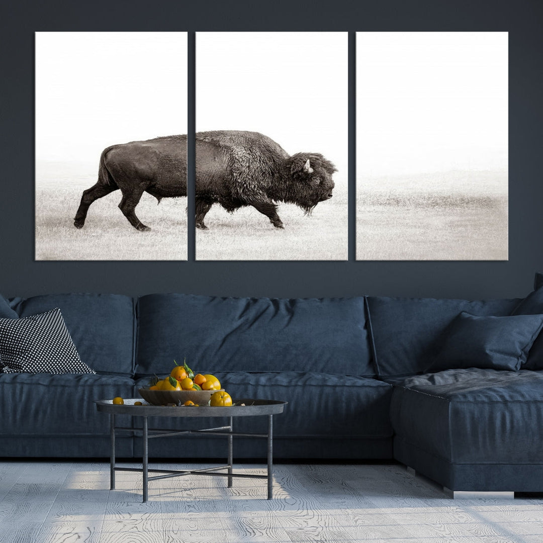 Alone Bison Wall Art Canvas Print, Cow Wall Art, Buffalo Artwork