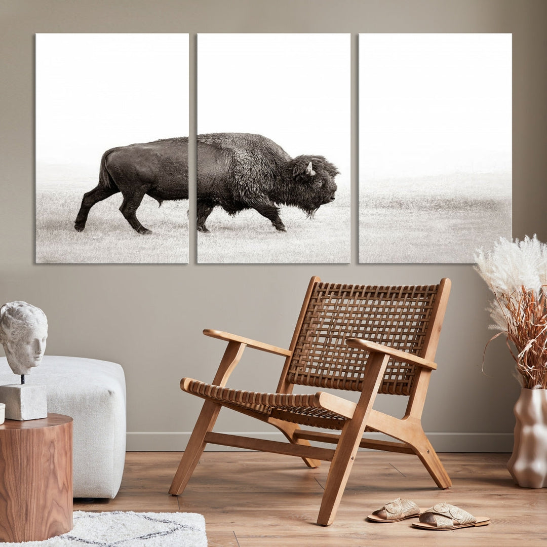 Alone Bison Wall Art Canvas Print, Cow Wall Art, Buffalo Artwork