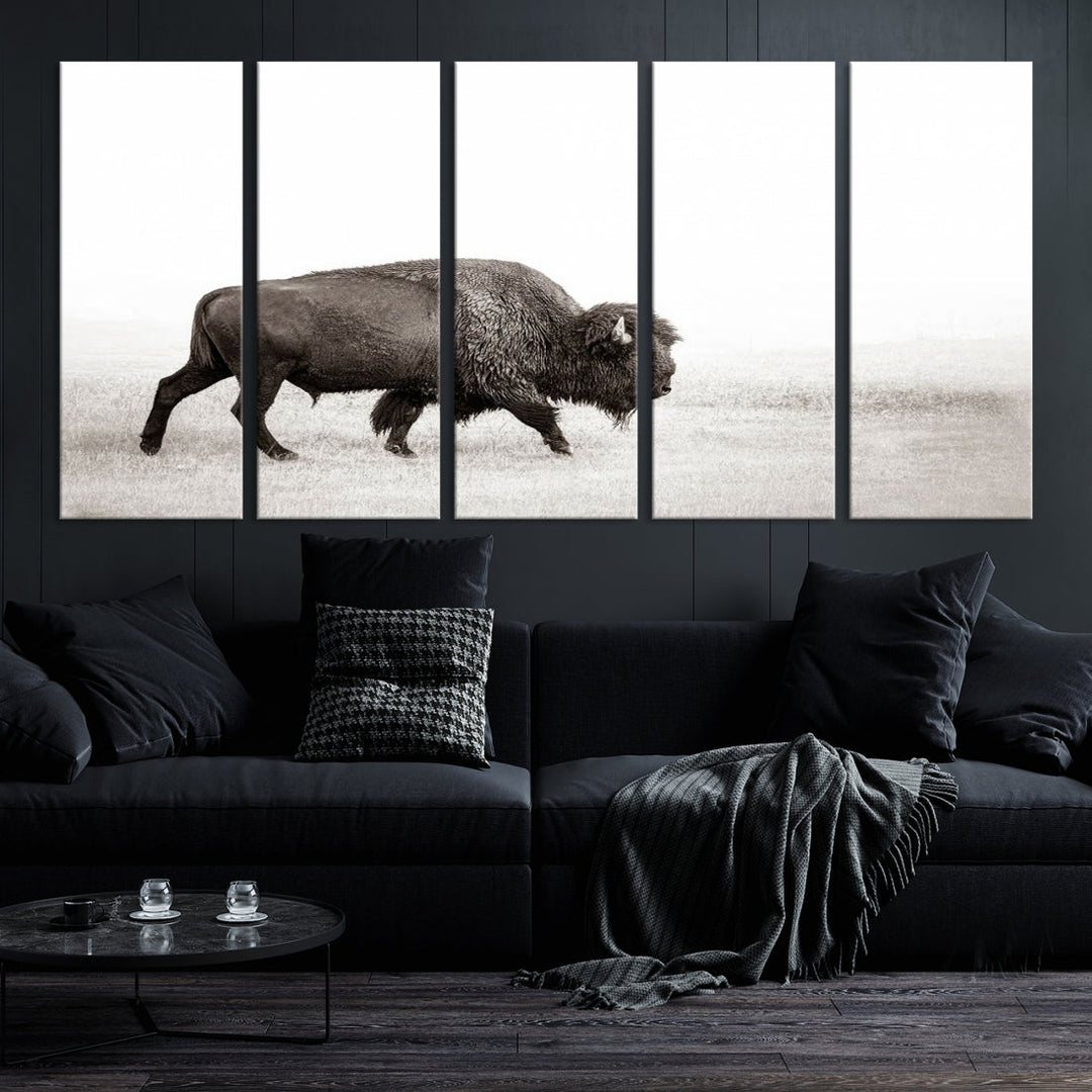 Alone Bison Wall Art Canvas Print, Cow Wall Art, Buffalo Artwork