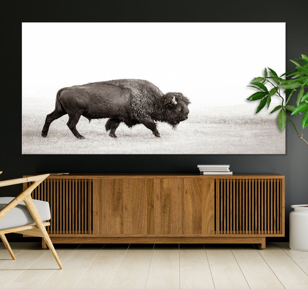 Alone Bison Wall Art Canvas Print, Cow Wall Art, Buffalo Artwork