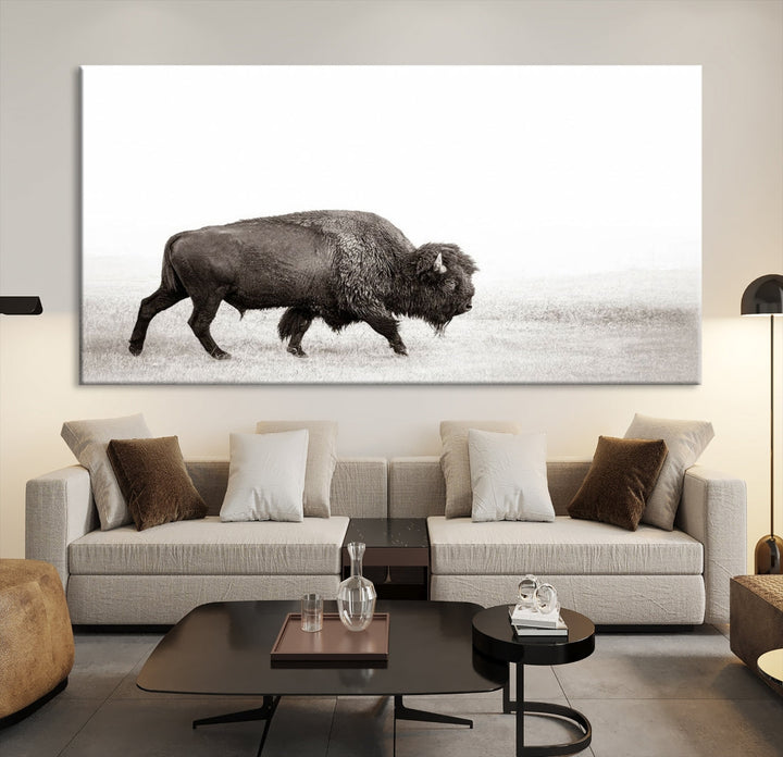 Alone Bison Wall Art Canvas Print, Cow Wall Art, Buffalo Artwork