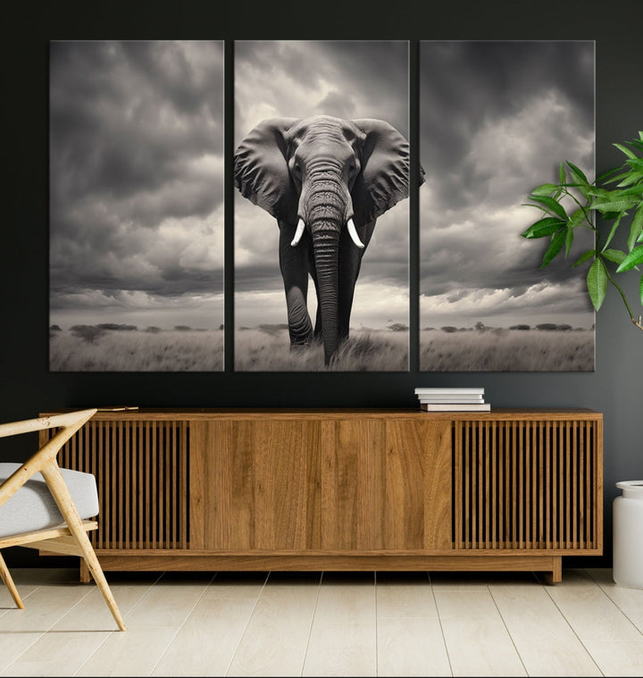 Wall Art Canvas Print