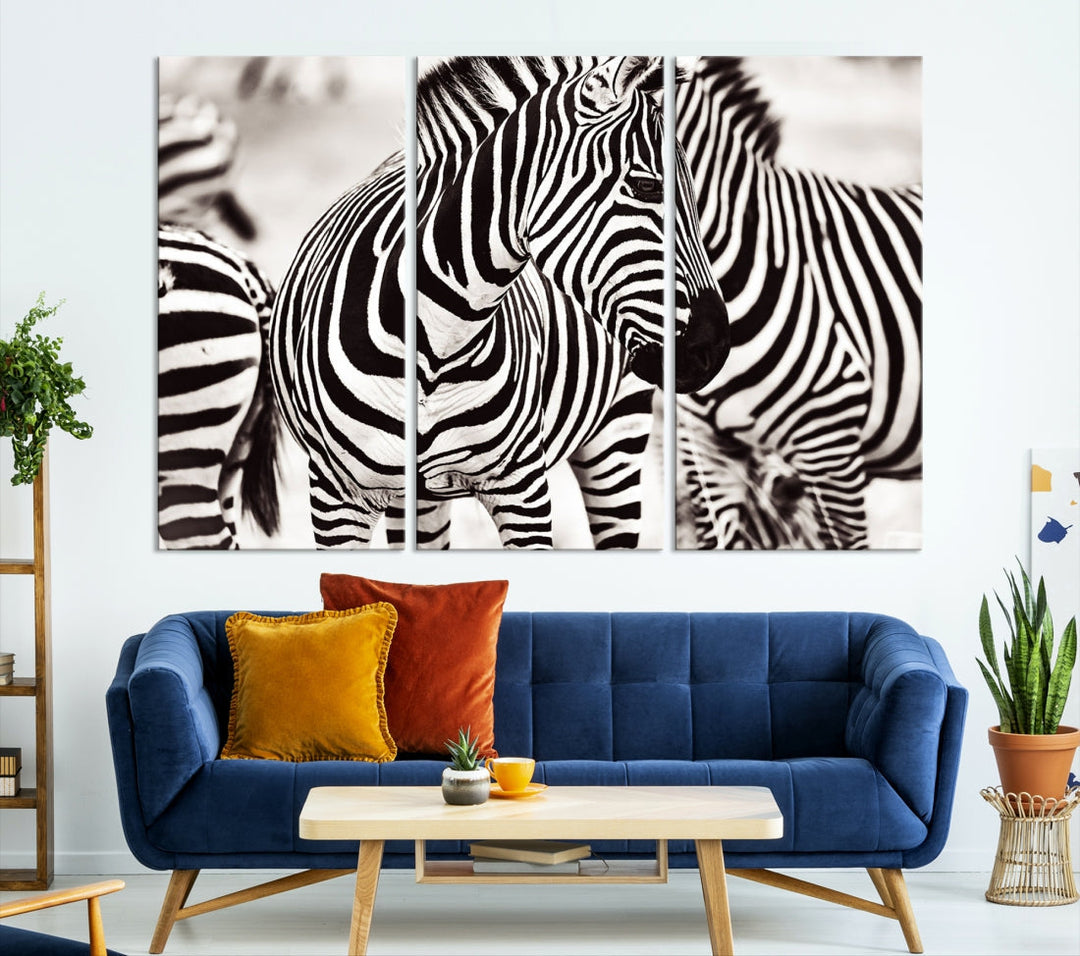 Amazing Zebra Photography Art Canvas Wall Art Africa Animal Print