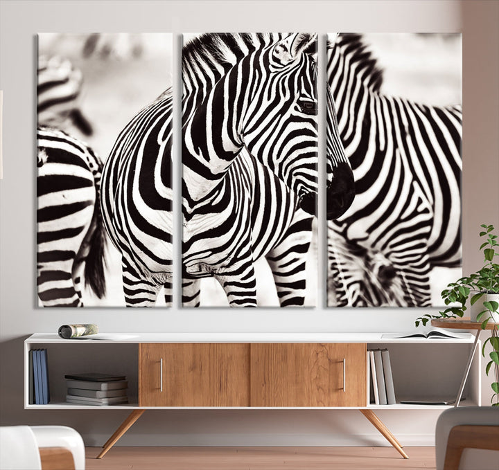 Amazing Zebra Photography Art Canvas Wall Art Africa Animal Print