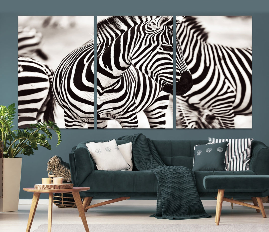 Amazing Zebra Photography Art Canvas Wall Art Africa Animal Print