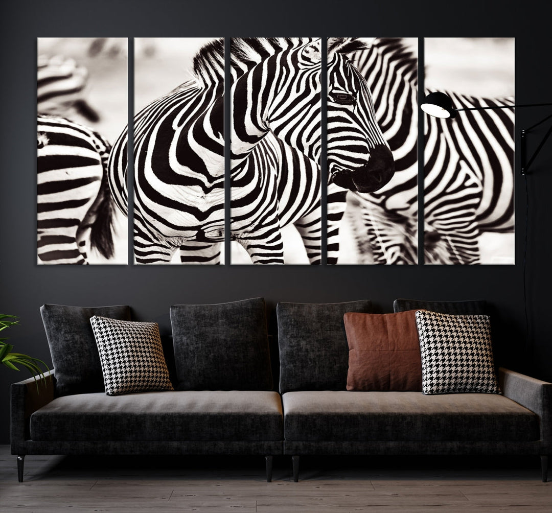 Amazing Zebra Photography Art Canvas Wall Art Africa Animal Print