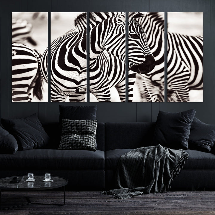 Amazing Zebra Photography Art Canvas Wall Art Africa Animal Print