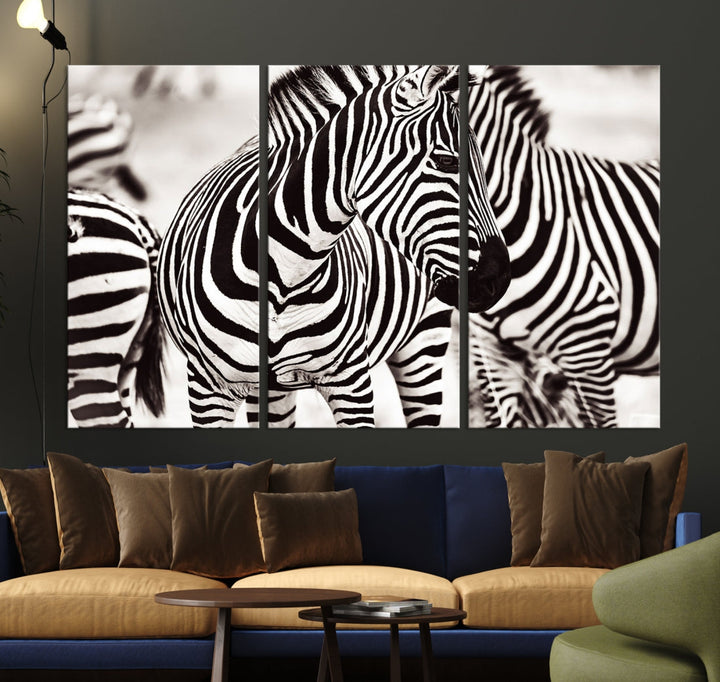 Amazing Zebra Photography Art Canvas Wall Art Africa Animal Print