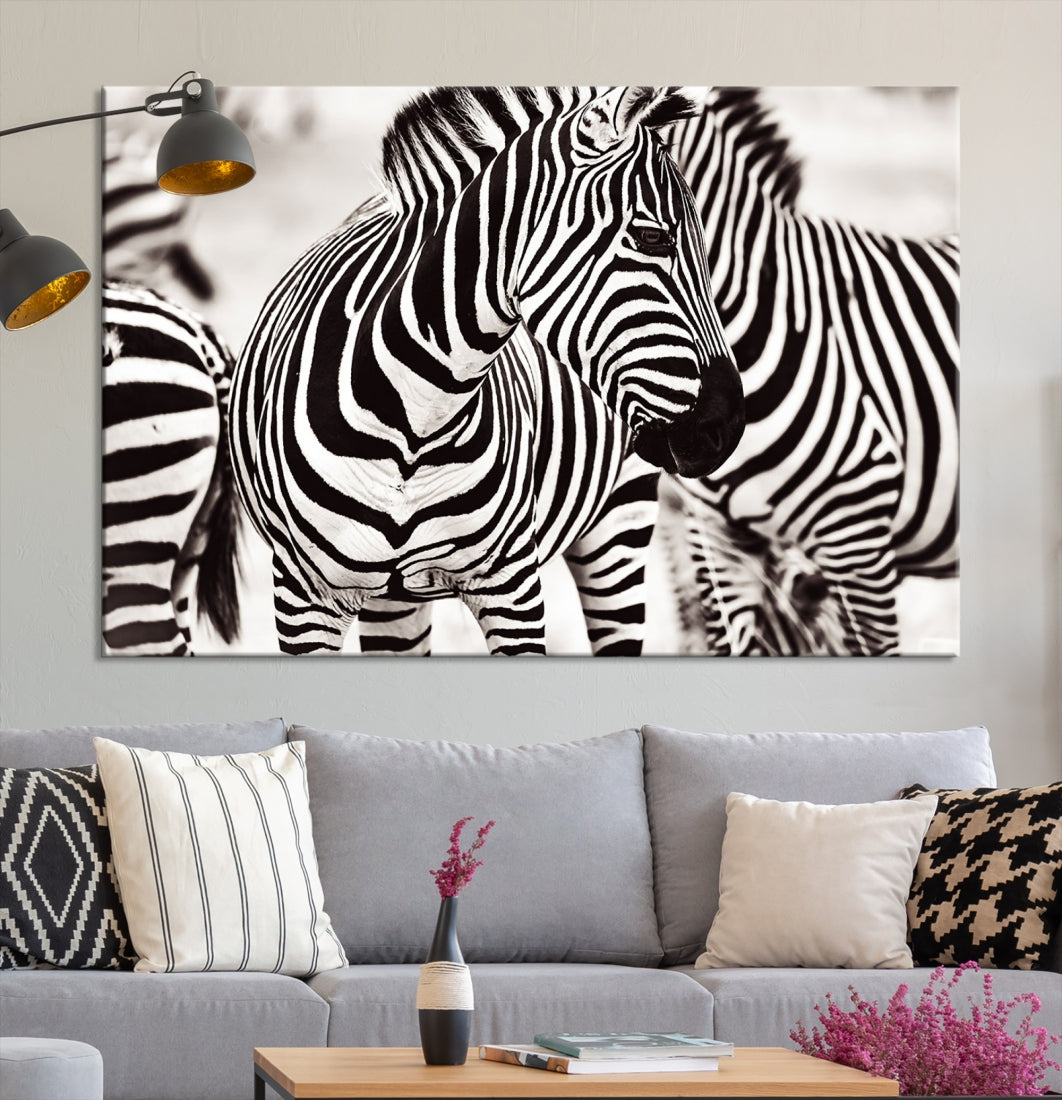 Amazing Zebra Photography Art Canvas Wall Art Africa Animal Print