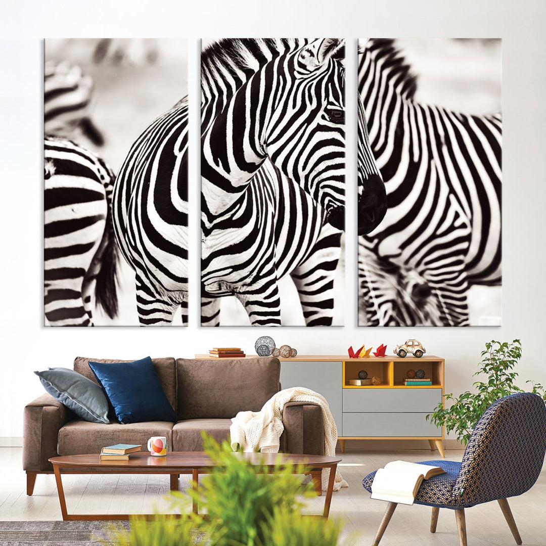 Amazing Zebra Photography Art Canvas Wall Art Africa Animal Print