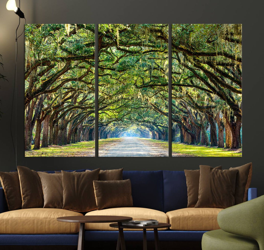 Angel Oak Tree Pathway Canvas Wall Art - 3 Panel Scenic Tree-Lined Road for Living Room, Office, or Bedroom, Ready to Hang Nature-Inspired Decor