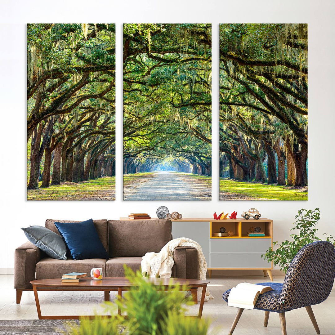 Angel Oak Tree Pathway Canvas Wall Art - 3 Panel Scenic Tree-Lined Road for Living Room, Office, or Bedroom, Ready to Hang Nature-Inspired Decor