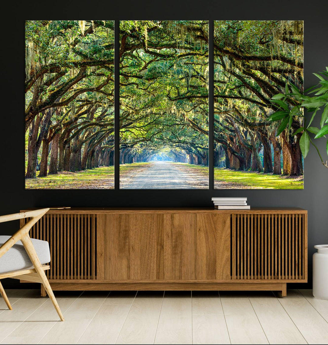 Angel Oak Tree Pathway Canvas Wall Art - 3 Panel Scenic Tree-Lined Road for Living Room, Office, or Bedroom, Ready to Hang Nature-Inspired Decor