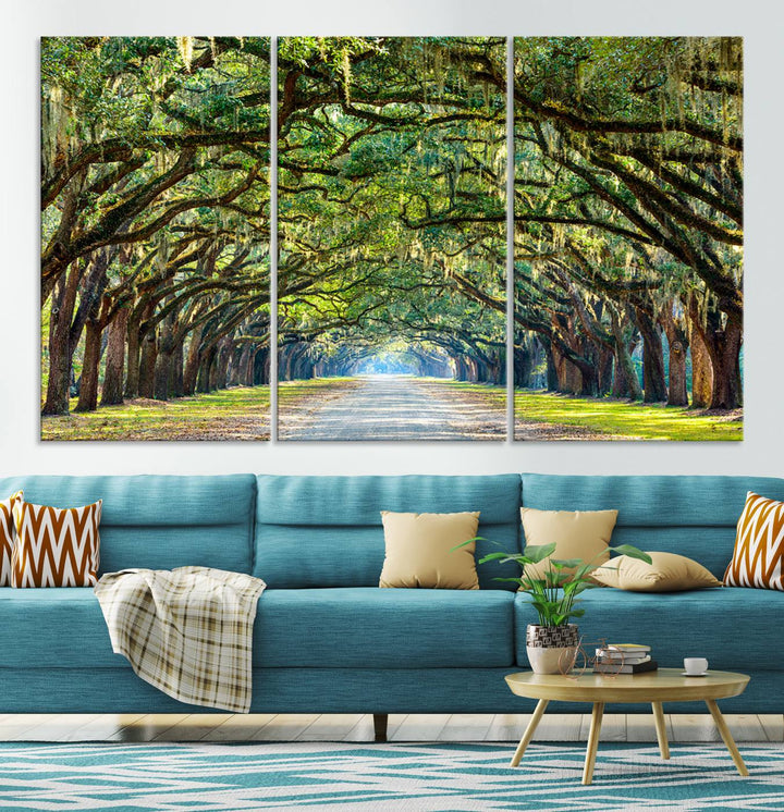 Angel Oak Tree Pathway Canvas Wall Art - 3 Panel Scenic Tree-Lined Road for Living Room, Office, or Bedroom, Ready to Hang Nature-Inspired Decor