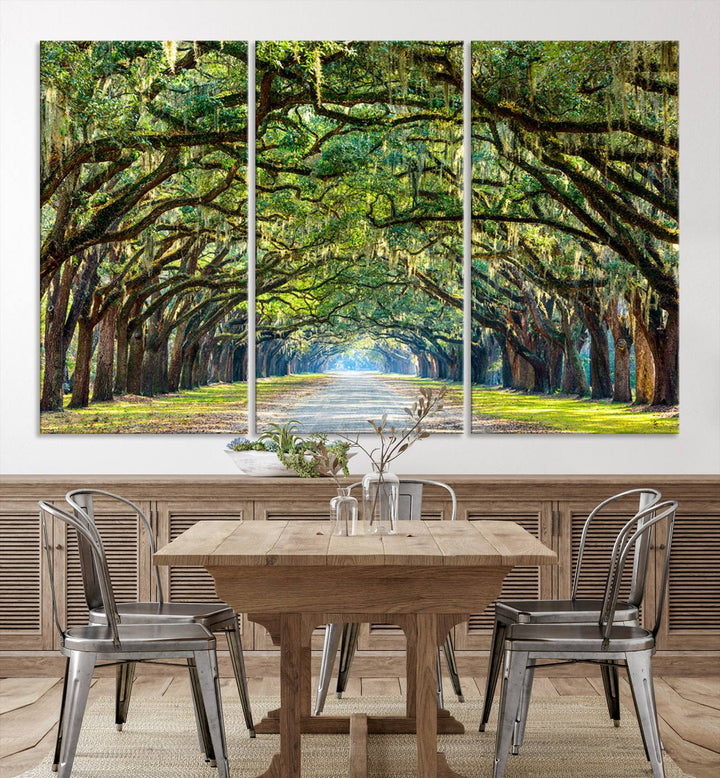 Angel Oak Tree Pathway Canvas Wall Art - 3 Panel Scenic Tree-Lined Road for Living Room, Office, or Bedroom, Ready to Hang Nature-Inspired Decor