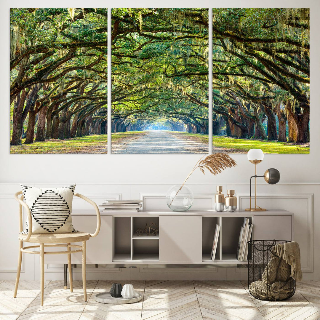 Angel Oak Tree Pathway Canvas Wall Art - 3 Panel Scenic Tree-Lined Road for Living Room, Office, or Bedroom, Ready to Hang Nature-Inspired Decor