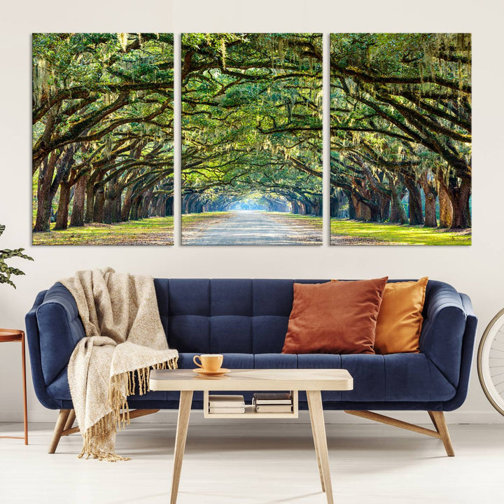 Angel Oak Tree Pathway Canvas Wall Art - 3 Panel Scenic Tree-Lined Road for Living Room, Office, or Bedroom, Ready to Hang Nature-Inspired Decor