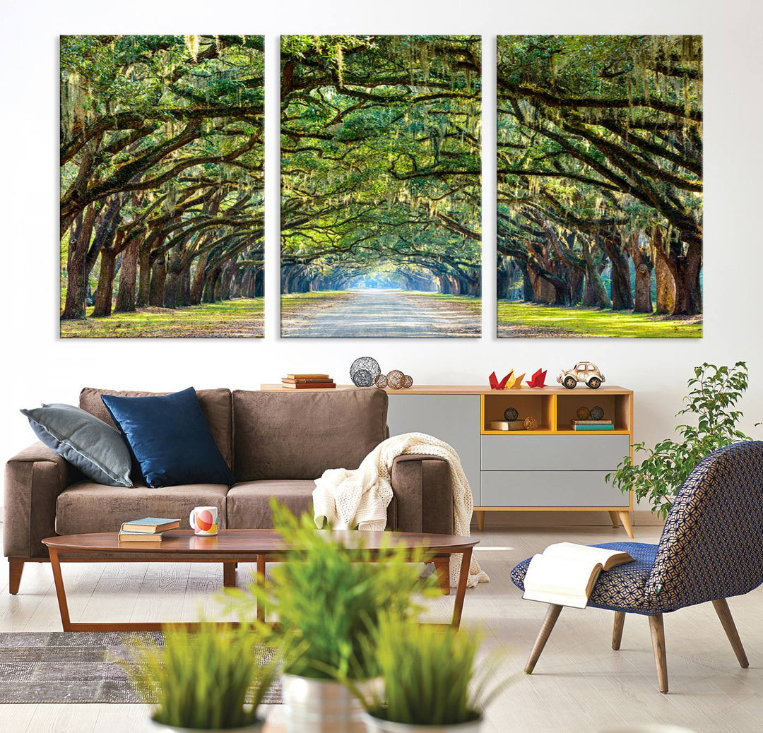 Angel Oak Tree Pathway Canvas Wall Art - 3 Panel Scenic Tree-Lined Road for Living Room, Office, or Bedroom, Ready to Hang Nature-Inspired Decor