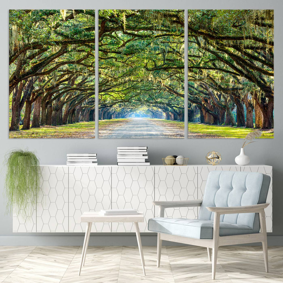 Angel Oak Tree Pathway Canvas Wall Art - 3 Panel Scenic Tree-Lined Road for Living Room, Office, or Bedroom, Ready to Hang Nature-Inspired Decor