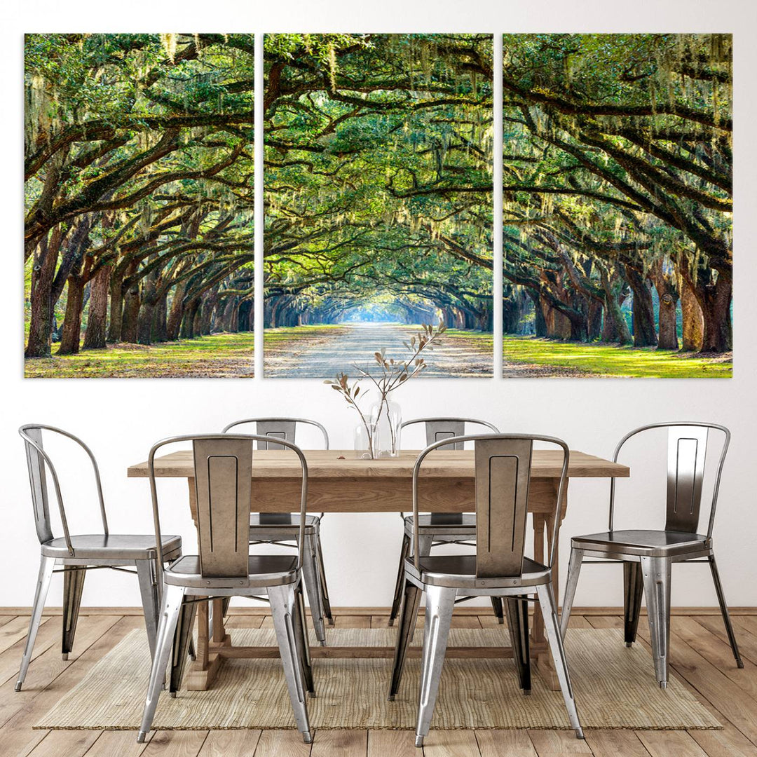 Angel Oak Tree Pathway Canvas Wall Art - 3 Panel Scenic Tree-Lined Road for Living Room, Office, or Bedroom, Ready to Hang Nature-Inspired Decor