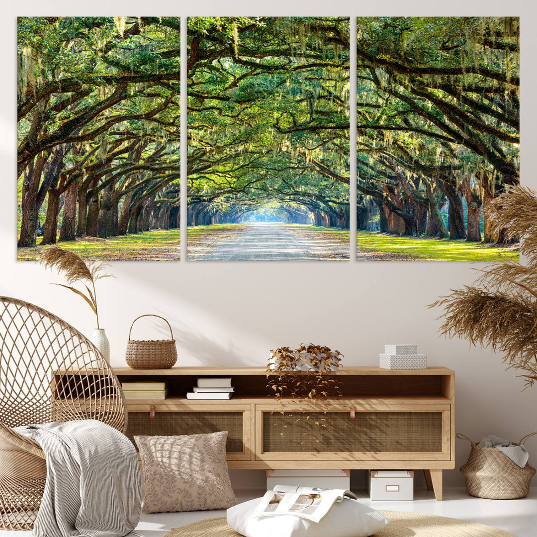 Angel Oak Tree Pathway Canvas Wall Art - 3 Panel Scenic Tree-Lined Road for Living Room, Office, or Bedroom, Ready to Hang Nature-Inspired Decor