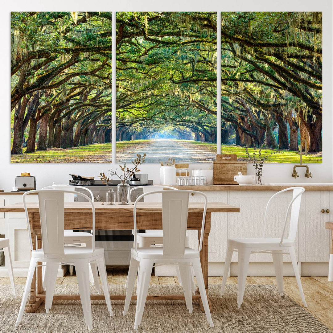 Angel Oak Tree Pathway Canvas Wall Art - 3 Panel Scenic Tree-Lined Road for Living Room, Office, or Bedroom, Ready to Hang Nature-Inspired Decor