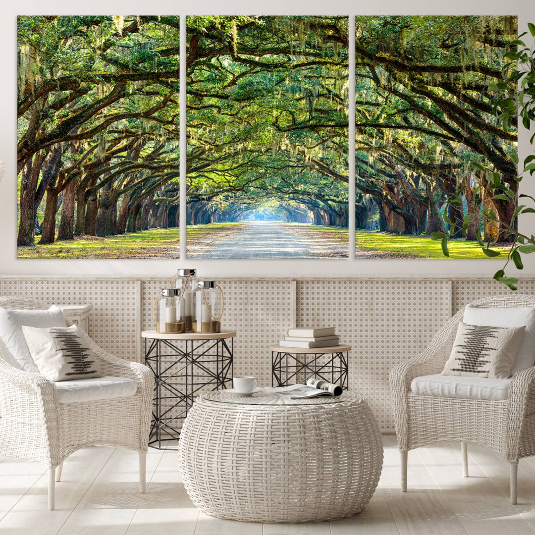 Angel Oak Tree Pathway Canvas Wall Art - 3 Panel Scenic Tree-Lined Road for Living Room, Office, or Bedroom, Ready to Hang Nature-Inspired Decor