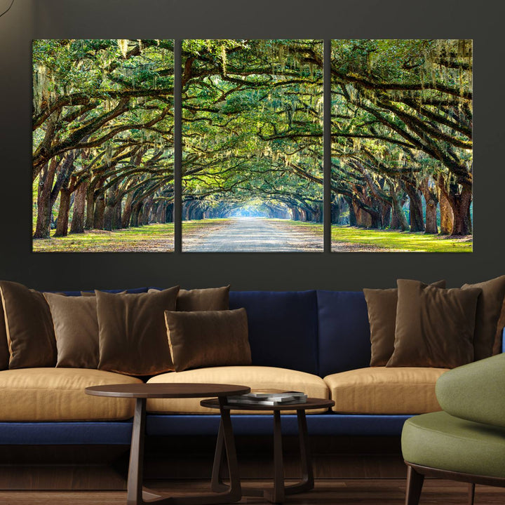 Angel Oak Tree Pathway Canvas Wall Art - 3 Panel Scenic Tree-Lined Road for Living Room, Office, or Bedroom, Ready to Hang Nature-Inspired Decor