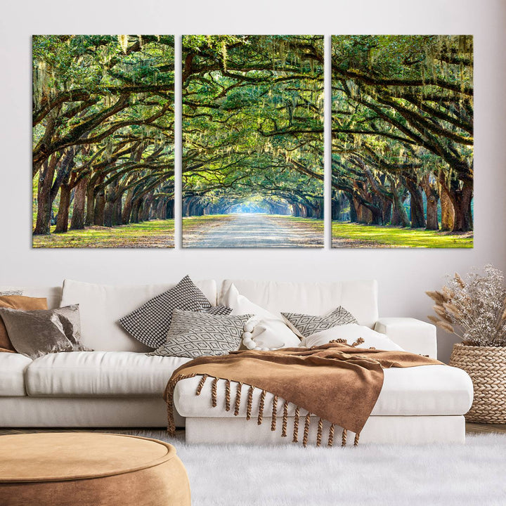 Angel Oak Tree Pathway Canvas Wall Art - 3 Panel Scenic Tree-Lined Road for Living Room, Office, or Bedroom, Ready to Hang Nature-Inspired Decor