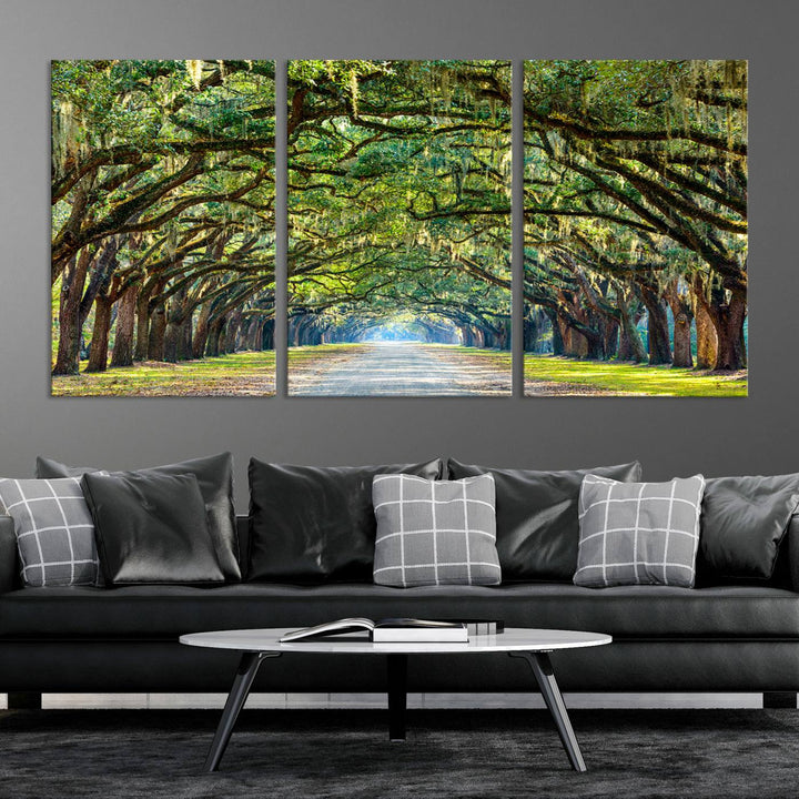 Angel Oak Tree Pathway Canvas Wall Art - 3 Panel Scenic Tree-Lined Road for Living Room, Office, or Bedroom, Ready to Hang Nature-Inspired Decor