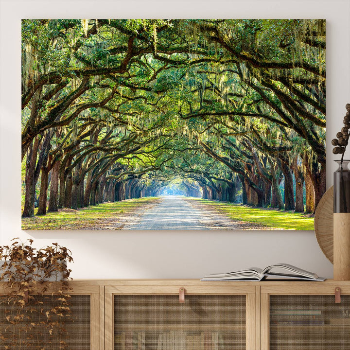 Angel Oak Tree Pathway Canvas Wall Art - 3 Panel Scenic Tree-Lined Road for Living Room, Office, or Bedroom, Ready to Hang Nature-Inspired Decor