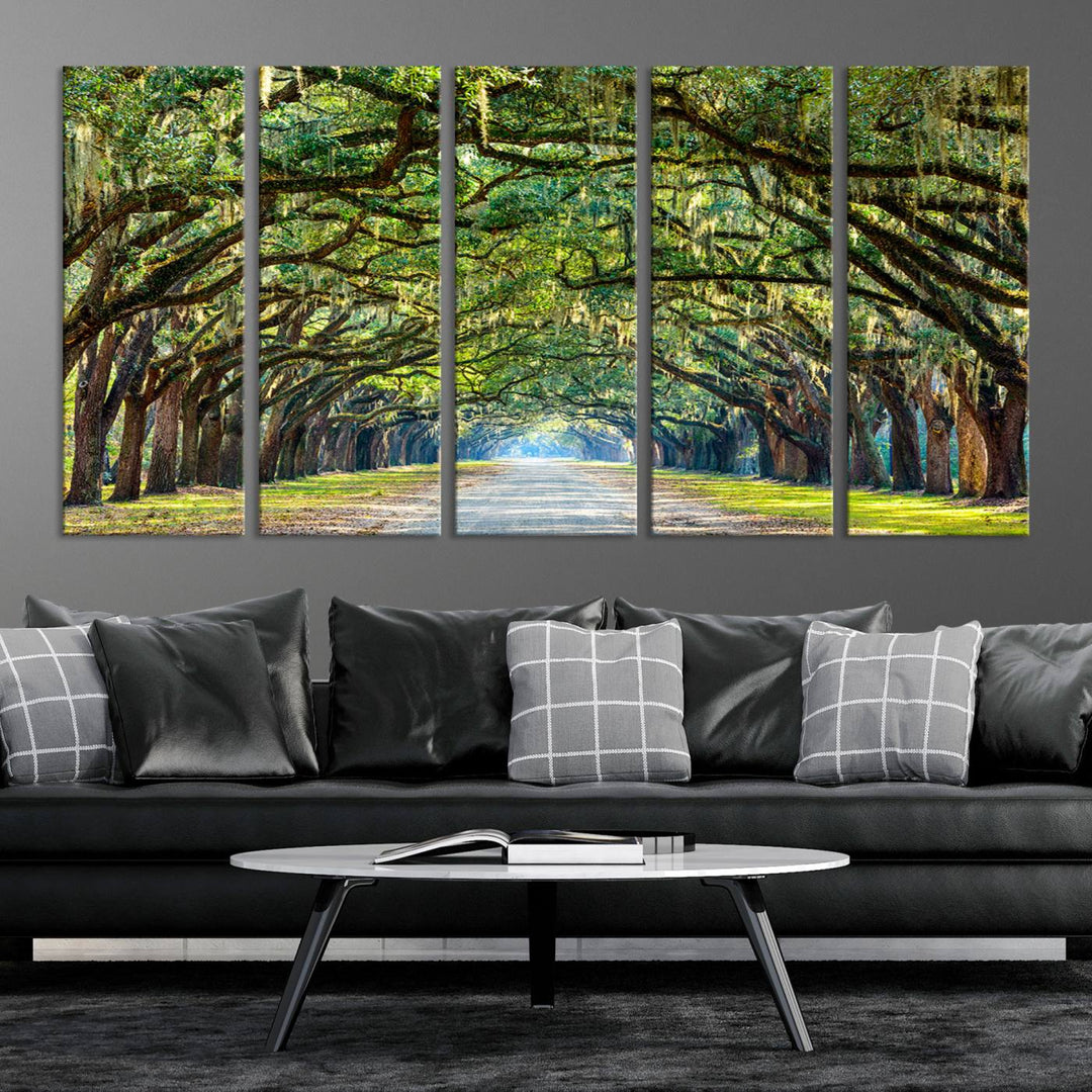 Angel Oak Tree Pathway Canvas Wall Art - 3 Panel Scenic Tree-Lined Road for Living Room, Office, or Bedroom, Ready to Hang Nature-Inspired Decor